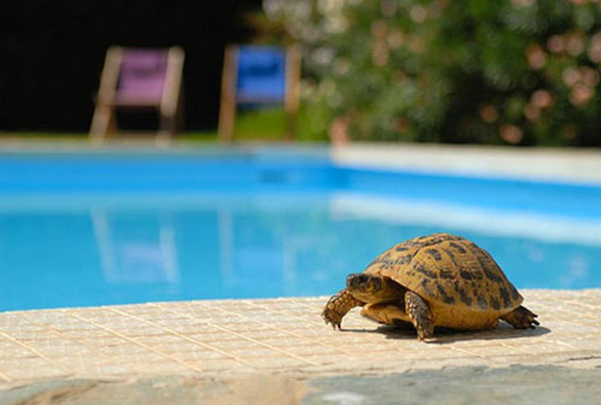 Sun Beach Ajaccio  Luaran gambar